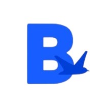 bluebirdstechnologies logo - Similar company to Bluebird Technologies