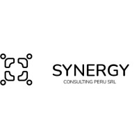 SYNERGY Consulting Perú SRL logo - Similar company to Synergy Consulting S.A.C.
