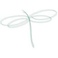 Dragonfly Digital LLC