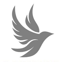 Institute for Diplomacy Education and Advocacy (IDEA) logo - Similar company to Gini