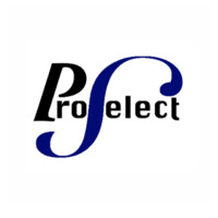 ProSelect Funding logo - Similar company to Lopefra Corp.