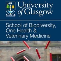 University of Glasgow School of Biodiversity, One Health and  Veterinary Medicine logo - Similar company to Salmosim