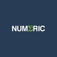NUMERIC ACCOUNTING LIMITED logo - Similar company to Genio Accountants