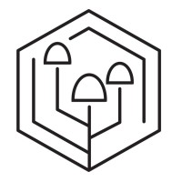 Fungi Innovations logo - Similar company to Mushroomlab