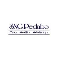 SNG Pedabo logo - Similar company to Mobility Leadership Advisors