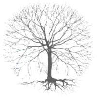 PDCA LLC logo - Similar company to Pdca Labs Pvt Ltd