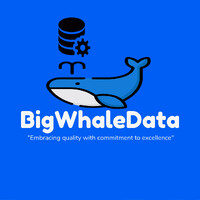 BigWhale Data logo - Similar company to Technova Global