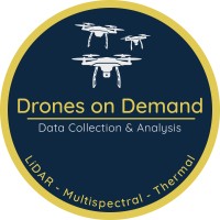 Drones on Demand logo - Similar company to Simply Drones
