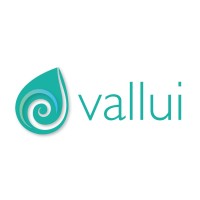 VALLUI logo - Similar company to Geosk Service