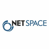 Net Space Armenia logo - Similar company to Net Space