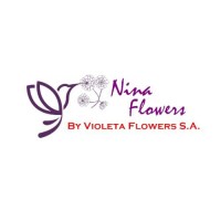 VIOLETA FLOWERS S. A. logo - Similar company to Integra Industrial Mx