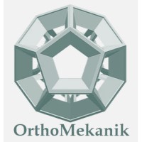 OrthoMekanik logo - Similar company to Motordrome Design