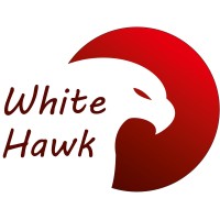 White Hawk logo - Similar company to Marienfeld Multimedia