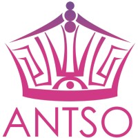 America'S National Teenager Scholarship Organization