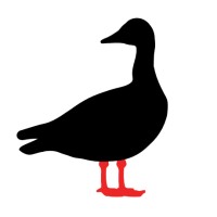 Bean Goose Coffee GmbH logo - Similar company to Broasters Coffee