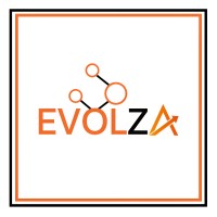 Evolza.io logo - Similar company to Effective Solutions