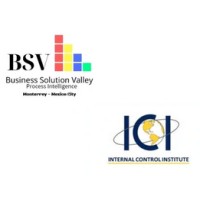BUSINESS SOLUTION VALLEY / THE INTERNAL CONTROL INSTITUTE - MEXICO logo - Similar company to Bkyd