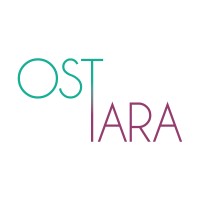 Ostara Studio logo - Similar company to Digitalsbyg