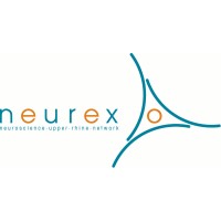 Neurex logo - Similar company to Nurex Srl