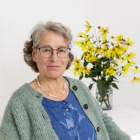 Holzwege-Seminare - Atelier für Kunsttherapie und Familienaufstellungen logo - Similar company to Dfkgt - Kompetenz In Kunsttherapie