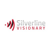 Silverline Visionary logo - Similar company to Top-Tier Executives