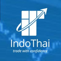 Indo Thai Securities Ltd logo - Similar company to Youngovator