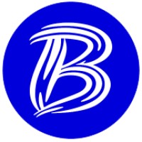 Bayesian Analytics logo - Similar company to Mokshasoftsolutions