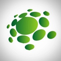 Wellstone Oil Tools® - Rock-solid Solutions logo - Similar company to Fabriq