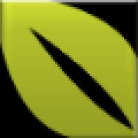 Fashion Me Green
