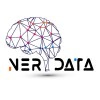 NERDATA ENSIT CLUB logo - Similar company to Ensit Microsoft Club