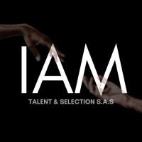 IAM TALENT & SELECTION S.A.S logo - Similar company to Doctor Peso