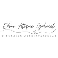 Palestrante - Edmo Atique Gabriel logo - Similar company to Palestrante Eduardo Anton