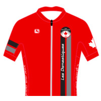 Les Domestiques Cycling Club logo - Similar company to Nolan Consulting