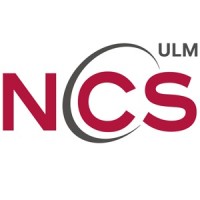 NCS Ulm GmbH logo - Similar company to Systemzwo Group