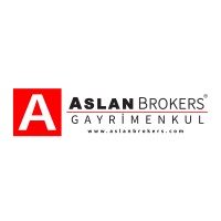 AslanBrokers logo - Similar company to Mezo Digital Ltd.