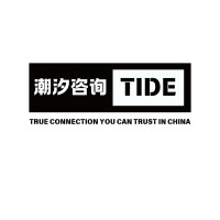 Tide Consulting logo - Similar company to Tide Consulting