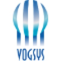 Vogsys Consultoria