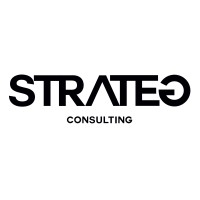 STRATEG Consulting logo - Similar company to Integrated Fire Services