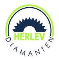 Herlev Diamanten ApS logo - Similar company to Total Diamant