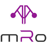 Mayan Robotics LLC logo - Similar company to Ruway Technologies