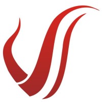 VEDHANI INTERNATIONAL PVT LTD logo - Similar company to Shriji Decor Pvt Ltd- India
