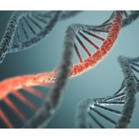 DNA Hulp logo - Similar company to Rotterdam Kidney Lab