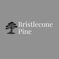 Bristlecone Pine Investment Group logo - Similar company to Nc Coding Compass
