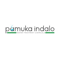 Pamuka iNdalo logo - Similar company to G|Meta Coaching