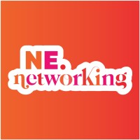NE Networking (North Durham Networking) logo - Similar company to Manlas Ltd