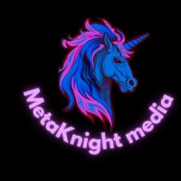 MetaKnight Media logo - Similar company to Arav Foundation