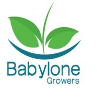 Babylone Growers logo - Similar company to Cycloponics