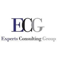 Experts Consulting Group logo - Similar company to Expert Consulting
