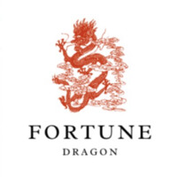 Fortune Dragon Benelux logo - Similar company to Prime Group