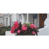 Best Western Swiss Cottage Hotel